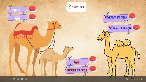 ⁦הגמל⁩ – תמונה ⁦5⁩
