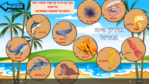 ⁦הדיג ודג הזהב⁩ – תמונה ⁦5⁩