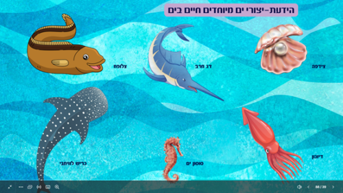 ⁦הדיג ודג הזהב⁩ – תמונה ⁦6⁩