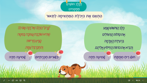 ⁦כלבים⁩ – תמונה ⁦5⁩