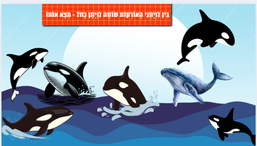 ⁦הלוויתנים⁩ – תמונה ⁦6⁩