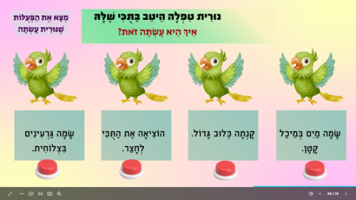 ⁦התוכי של נורית⁩ – תמונה ⁦4⁩
