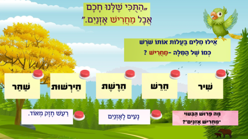 ⁦התוכי של נורית⁩ – תמונה ⁦5⁩