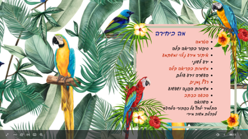 ⁦התוכי של נורית⁩ – תמונה ⁦2⁩