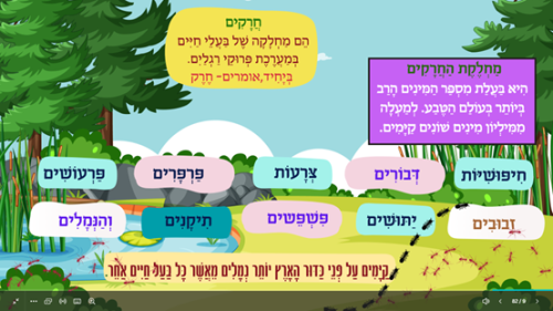 ⁦חרקים⁩ – תמונה ⁦3⁩