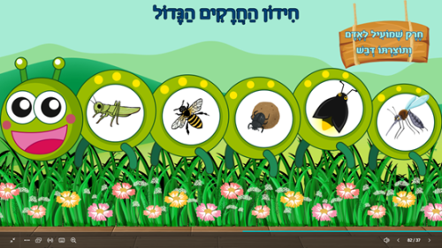 ⁦חרקים⁩ – תמונה ⁦5⁩