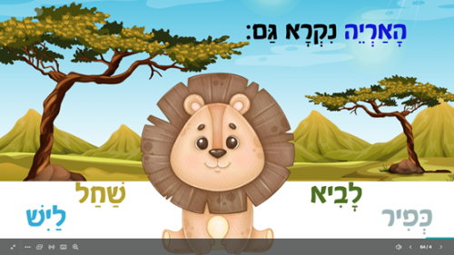⁦עובדות מעניינות על חיות⁩ – תמונה ⁦4⁩