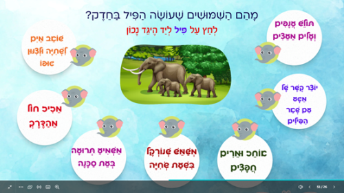 ⁦פיל חדש במשפחה⁩ – תמונה ⁦4⁩