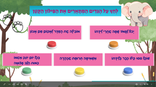 ⁦פיל חדש במשפחה⁩ – תמונה ⁦5⁩