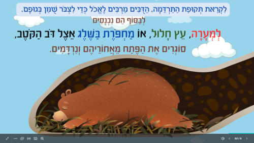 ⁦שנת דובים⁩ – תמונה ⁦3⁩