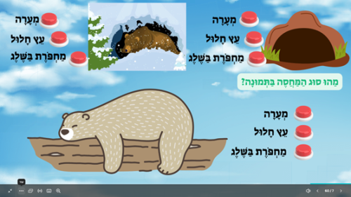 ⁦שנת דובים⁩ – תמונה ⁦4⁩