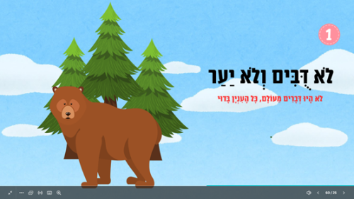 ⁦שנת דובים⁩ – תמונה ⁦6⁩