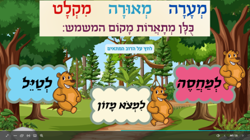 ⁦שנת דובים⁩ – תמונה ⁦7⁩
