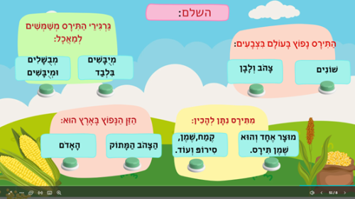 ⁦תירס⁩ – תמונה ⁦3⁩