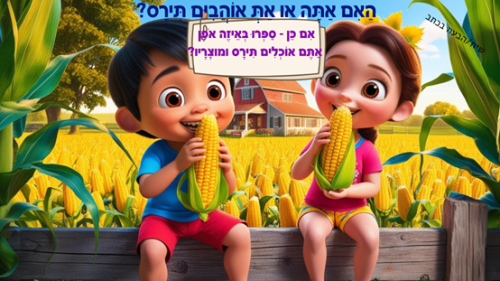 ⁦תירס⁩ – תמונה ⁦5⁩